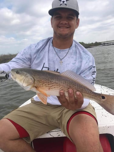 Freeport Slammer In Freeport