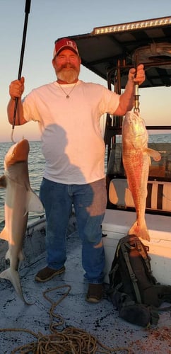 Freeport Slammer In Freeport