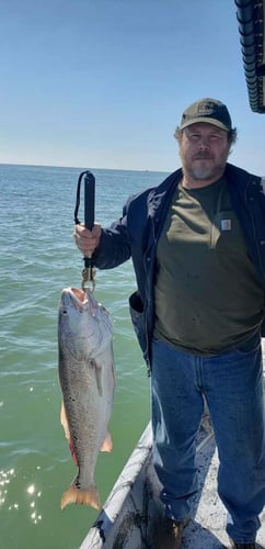 Freeport Slammer In Freeport