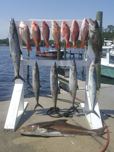 8hr PC Bottom Fishing And Trolling In Panama City