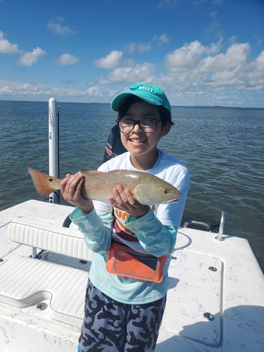 Flats And Backwaters On Artificials In Aransas Pass