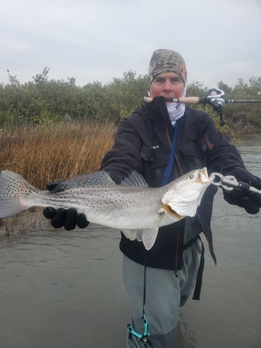 Flats And Backwaters On Artificials In Aransas Pass