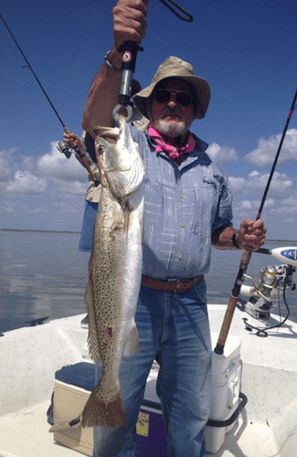 Aransas Pass Inshore Wade or Drift in Aransas Pass