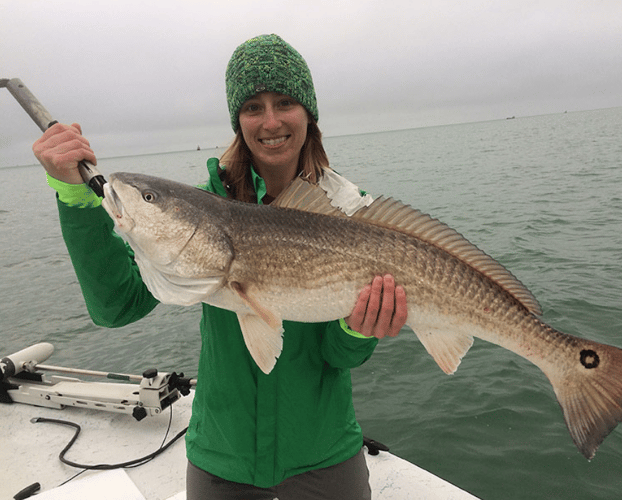 Aransas Pass Inshore Wade or Drift in Aransas Pass