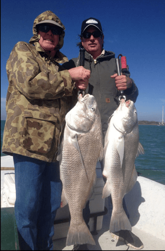Aransas Pass Inshore Wade or Drift in Aransas Pass