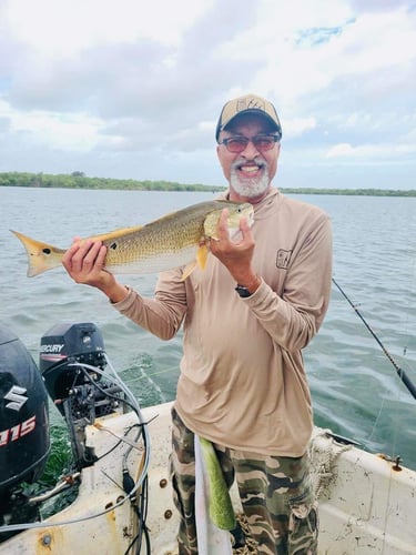 Freshwater Reds - Weekday Trip In San Antonio