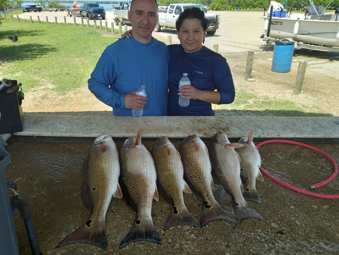 Freshwater Reds - Weekday Trip In San Antonio