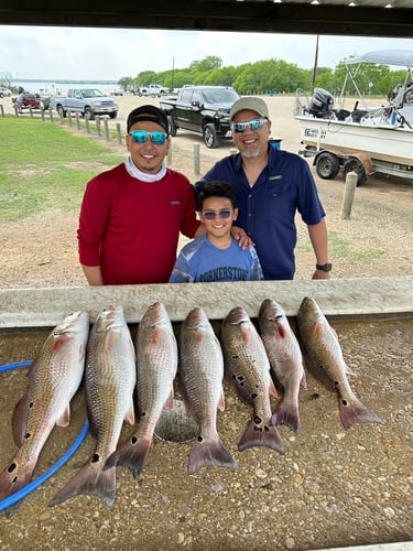 Freshwater Reds - Weekday Trip In San Antonio