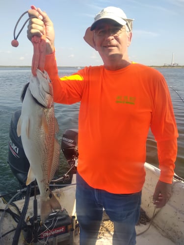 Freshwater Reds - Weekday Trip In San Antonio