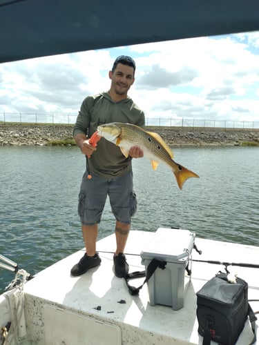 Freshwater Reds - Weekday Trip In San Antonio