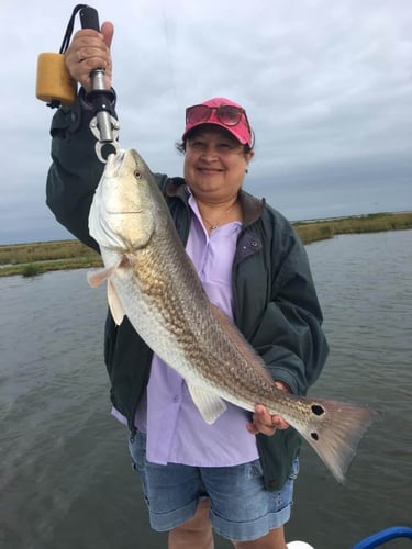 Aransas Pass Inshore Run in Aransas Pass