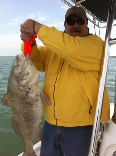 Aransas Pass Inshore Run in Aransas Pass