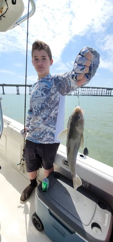 South Padre Offshore Fishing