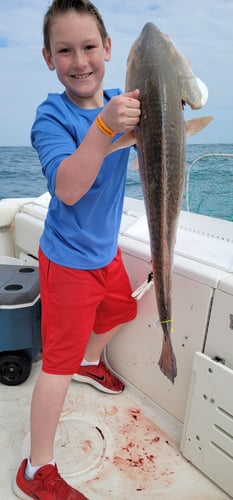 4-Hour Inshore - 30’ Triton In South Padre Island
