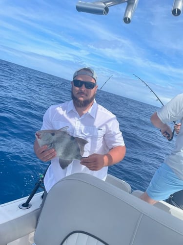 Charleston Deep Sea Offshore in Charleston