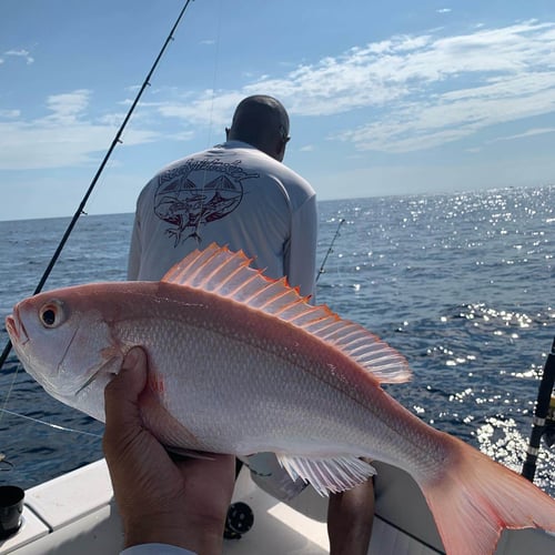 Charleston Deep Sea Offshore In Charleston