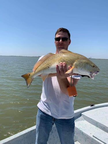 Galveston Angling Adventure In Galveston