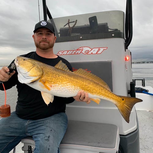 Galveston Angling Adventure In Galveston