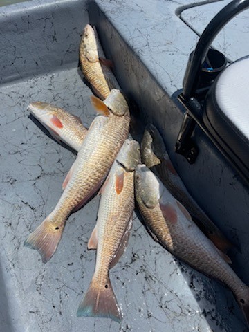 Rockport Bay-Full Day Fishing In Rockport