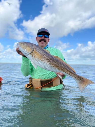 Rockport Bay-Full Day Fishing In Rockport