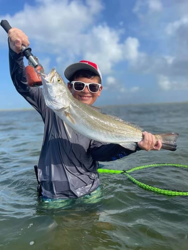 Rockport Bay-Full Day Fishing In Rockport