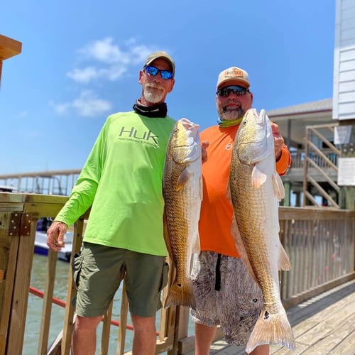 Rockport Bay-Full Day Fishing In Rockport