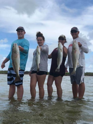 Rockport Bay-Full Day Fishing In Rockport