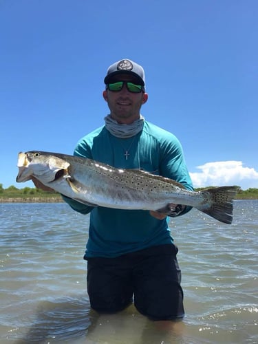 Rockport Bay-Full Day Fishing In Rockport