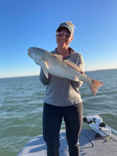 Rockport Bay-Full Day Fishing In Rockport