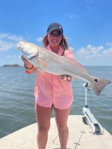 Rockport Bay-Full Day Fishing In Rockport