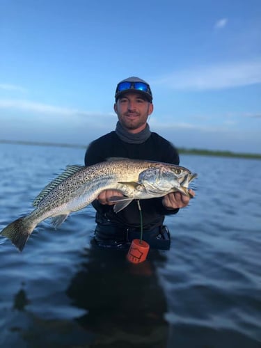 Rockport Bay-Full Day Fishing In Rockport