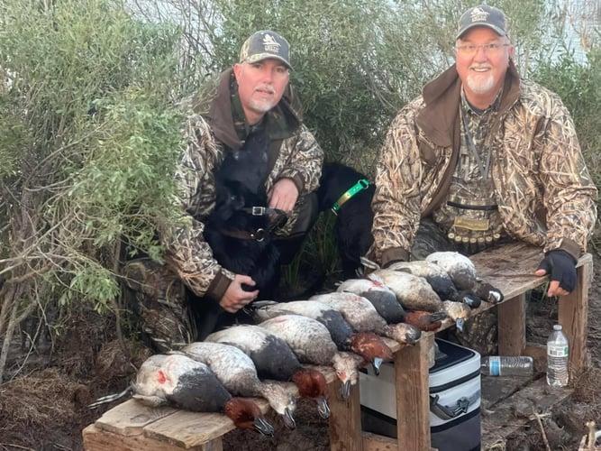 South Texas Prairie Duck Trip In Port O'Connor