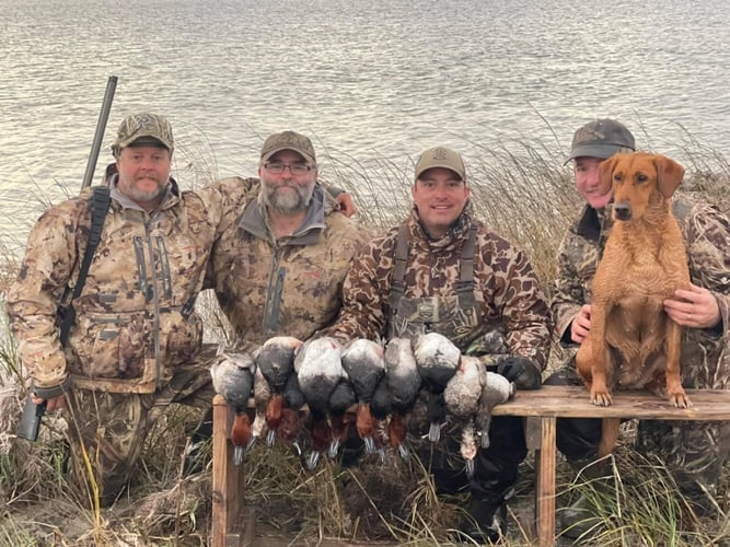 South Texas Prairie Duck Trip In Port O'Connor