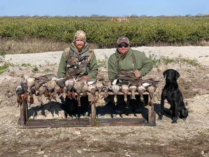 South Texas Prairie Duck Trip In Port O'Connor