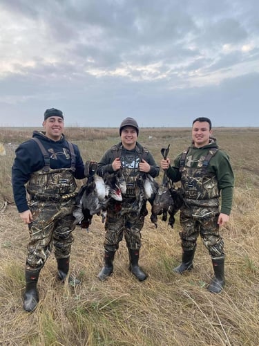 South Texas Prairie Duck Trip In Port O'Connor