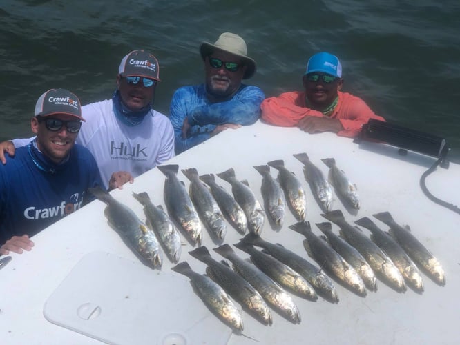 Matagorda Bay Shallows in Port O'Connor