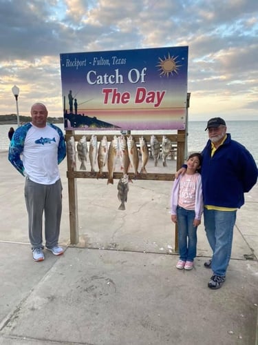 Inshore Guided Trip In Rockport