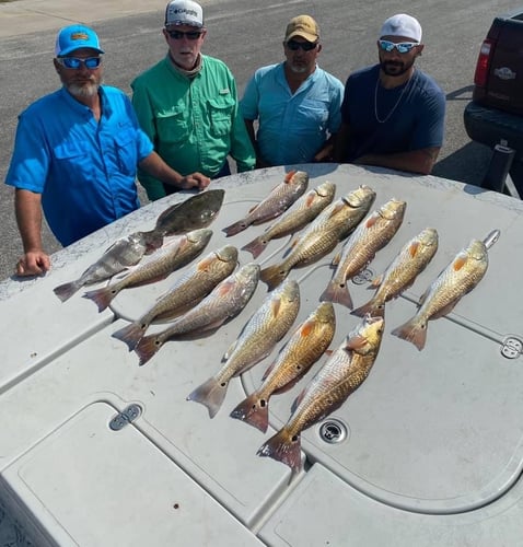 Inshore Guided Trip In Rockport