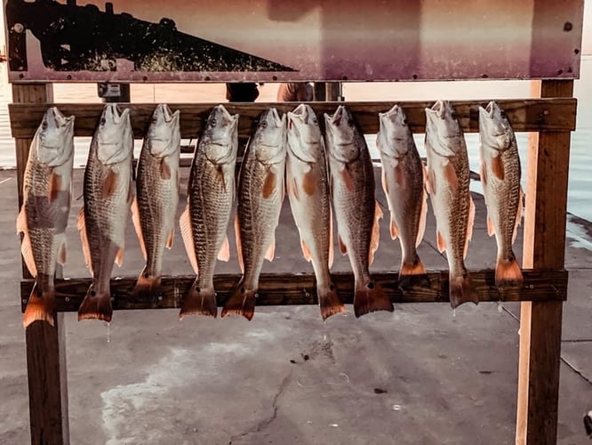 Inshore Guided Trip In Rockport