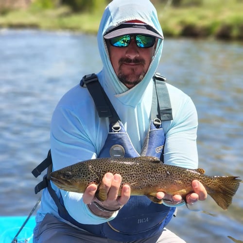 Hill Country Bass & Trout On The Fly In New Braunfels