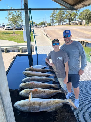 Summer Fishing In Texas City