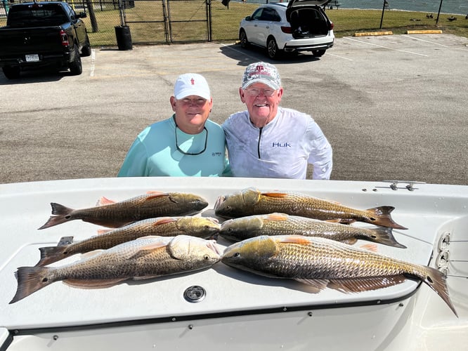 Summer Fishing In Texas City