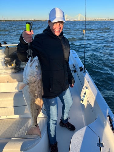 Summer Fishing In Texas City