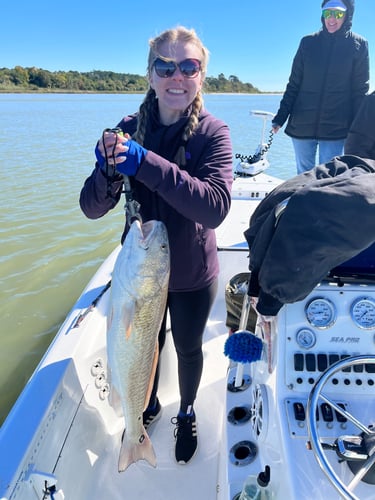 Summer Fishing In Texas City