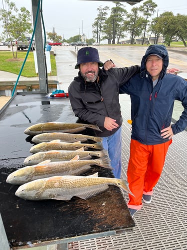 Summer Fishing In Texas City