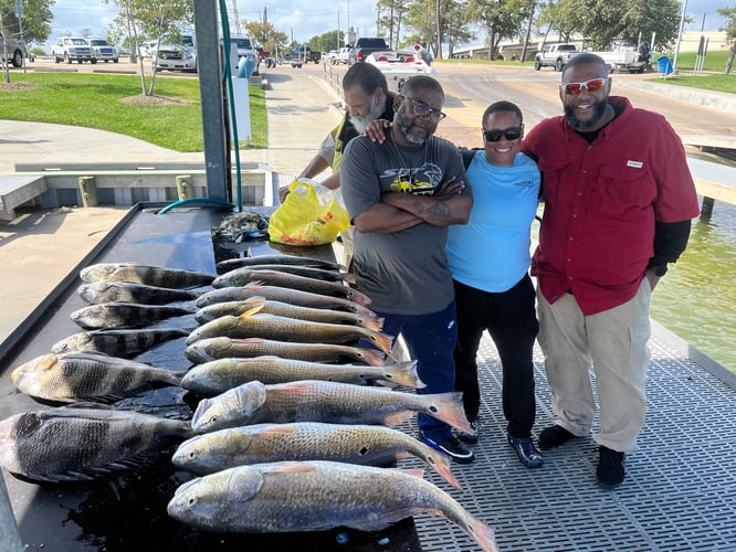 Summer Fishing In Texas City