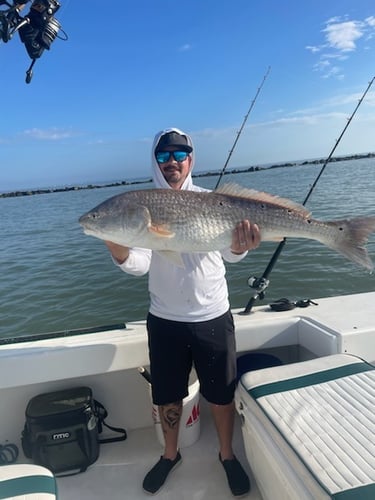 Galveston Jetty Roundup In Galveston