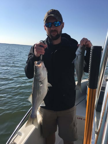 Half Day Bass (AM or PM) in Pottsboro