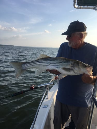 Half Day Bass (AM Or PM) In Pottsboro