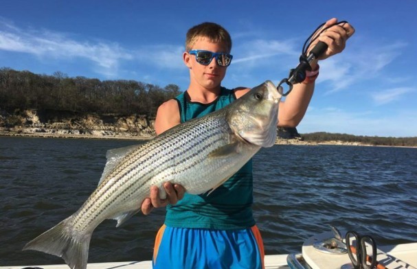 Half Day Bass (AM Or PM) In Pottsboro